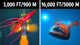 Fascinating 3D Journey to the Ocean Depths [upl. by Weinhardt599]