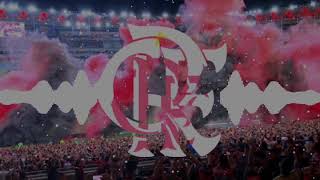 Flamengo l Melhores musicas 2019 l [upl. by Pearlman975]