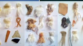 Textile Fiber and Its properties [upl. by Charpentier]