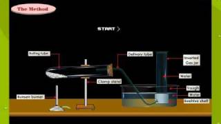 Preparation Of Oxygen Using Potassium Chlorate [upl. by Eadahs]