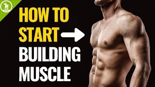 How To Start Building Muscle For Beginners [upl. by Danby]