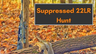 Squirrel Hunting with Suppressed 22 Rifle [upl. by Yorled]