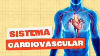 Sistema Cardiovascular  Toda Matéria [upl. by Dahlia]