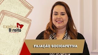 Explica Direito Filiação Socioafetiva  2019 [upl. by Staffan937]