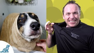 Simple Hacks To Bath Your Dog  Professional Dog Training Tips [upl. by Mastat767]