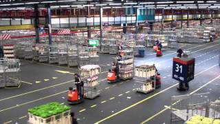 Topdrukte FloraHolland Aalsmeer  Rush hour Flower auction [upl. by Idnahr746]