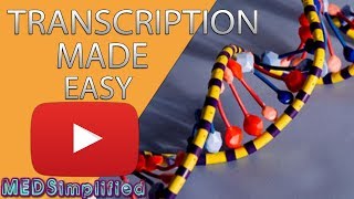 Transcription Made Easy From DNA to RNA 2019 [upl. by Magnum]