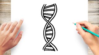 How to Draw DNA [upl. by Retlaw]