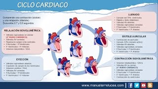 CICLO CARDIACO [upl. by Ozzie]