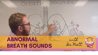 Abnormal Breath Sounds  Respiratory System [upl. by Annalee]