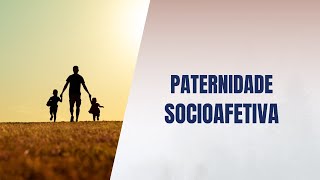 Paternidade socioafetiva [upl. by Verina843]