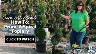 How To Prune A Spiral Topiary  Topiary Tour [upl. by Retsila]