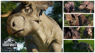 Every CERATOPSIAN and their skins in JURASSIC WORLD EVOLUTION [upl. by Aiekal]