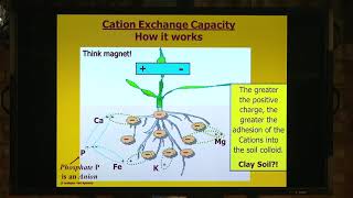 How Cation Exchange Capacity works [upl. by Yauq393]