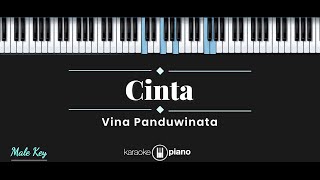 Cinta  Vina Panduwinata KARAOKE PIANO  MALE KEY [upl. by Annahael]