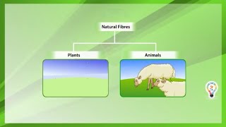 Natural fibres and synthetic fibres [upl. by Oruntha330]