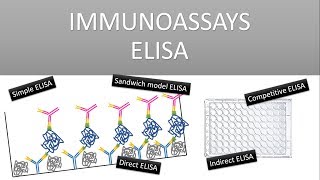 The Principle of Immunoassays ELISA Enzyme Linked Immunosorbent Assay [upl. by Atenaz150]