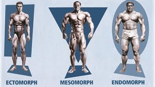 Ectomorph Endomorph Mesomorph How To Train amp Eat For YOUR Body Type [upl. by Ailsa]