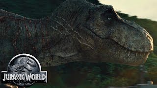 Why Do Jurassic Park Fans Call The Tyrannosaurus Rexy [upl. by Akihsar76]