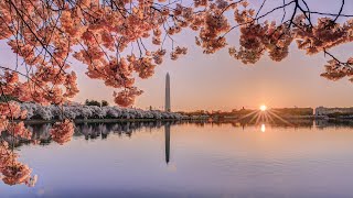 Introducing Washington DC [upl. by Herries]