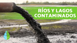 CAUSAS y CONSECUENCIAS de la CONTAMINACIÓN de LAGOS y RÍOS [upl. by Lletnom]