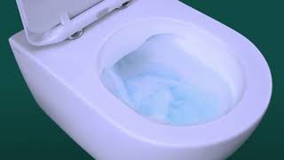 What are Rimless Toilets [upl. by Onileba]