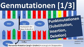 Genmutationen 13 Punktmutationen Insertion Substitution Deletion  Genetik Oberstufe [upl. by Adnuhsor]