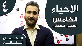 احياء الخامس العلمي الاحيائي  الفصل الثاني  المحاضرة 4  منهج 2021 [upl. by Adnilram]