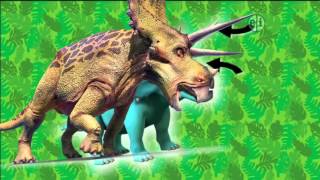 Dinosaur Discoveries Ceratopsians [upl. by Dorena]