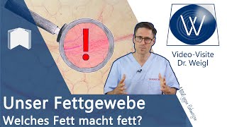 Unser Fettgewebe Was ist überhaupt Fett amp wieso vermehrt es sich Typische Erkrankungen erklärt ✅ [upl. by Fleeta]