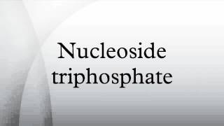 Nucleoside triphosphate [upl. by Grishilde]