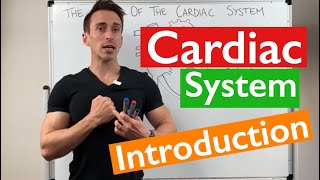 Introduction to the Cardiac System [upl. by Slater]