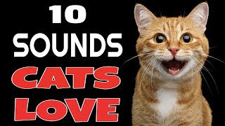 10 Sounds Cats Love To Hear The Most [upl. by Aielam]