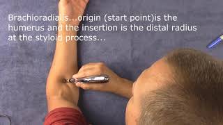 Meridian Pen Electric Acupuncture pen and how it works [upl. by Michael]