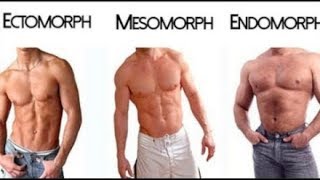 Ectomorph  Endomorph  Mesomorph  The 3 Different Body Types [upl. by Singhal]