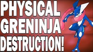 Pokemon X and Y  Physical Greninja Moveset Is Beastly [upl. by Olenolin]