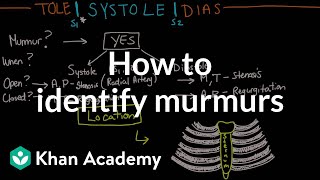 How to identify murmurs  Circulatory System and Disease  NCLEXRN  Khan Academy [upl. by Anelliw168]