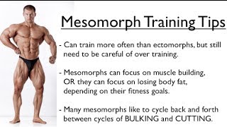 Ectomorph Endomorph or Mesomorph  Training for YOUR Body Type [upl. by Fauver]