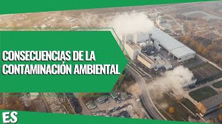 CONSECUENCIAS de la CONTAMINACIÓN AMBIENTAL ✅ VIDEO EDUCATIVO 📚 [upl. by Elacsap]