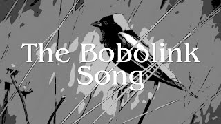 The Bobolink Song [upl. by Caesaria]