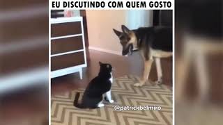 MELHORES MEMES DE ANIMAIS FALANTES ENGRAÃ‡ADOS BELMIRO MEMESCOMPILADO COM MEMES DE ANIMAIS FALANTES [upl. by Essila]