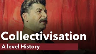 Collectivisation in the USSR  A level History [upl. by Mika530]