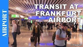 TRANSIT WALK AT FRANKFURT Airport FRA Terminal 1  Connection Flight Transfer Arriving amp Departing [upl. by Sardella]