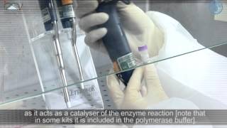 PCR Master Mix preparation and RTPCR [upl. by Aivek]