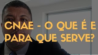 CNAE  O Que é o CNAE e para que Serve [upl. by Phaih]