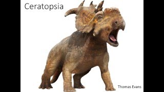 Marginocephalia II Ceratopsia [upl. by Novyart]